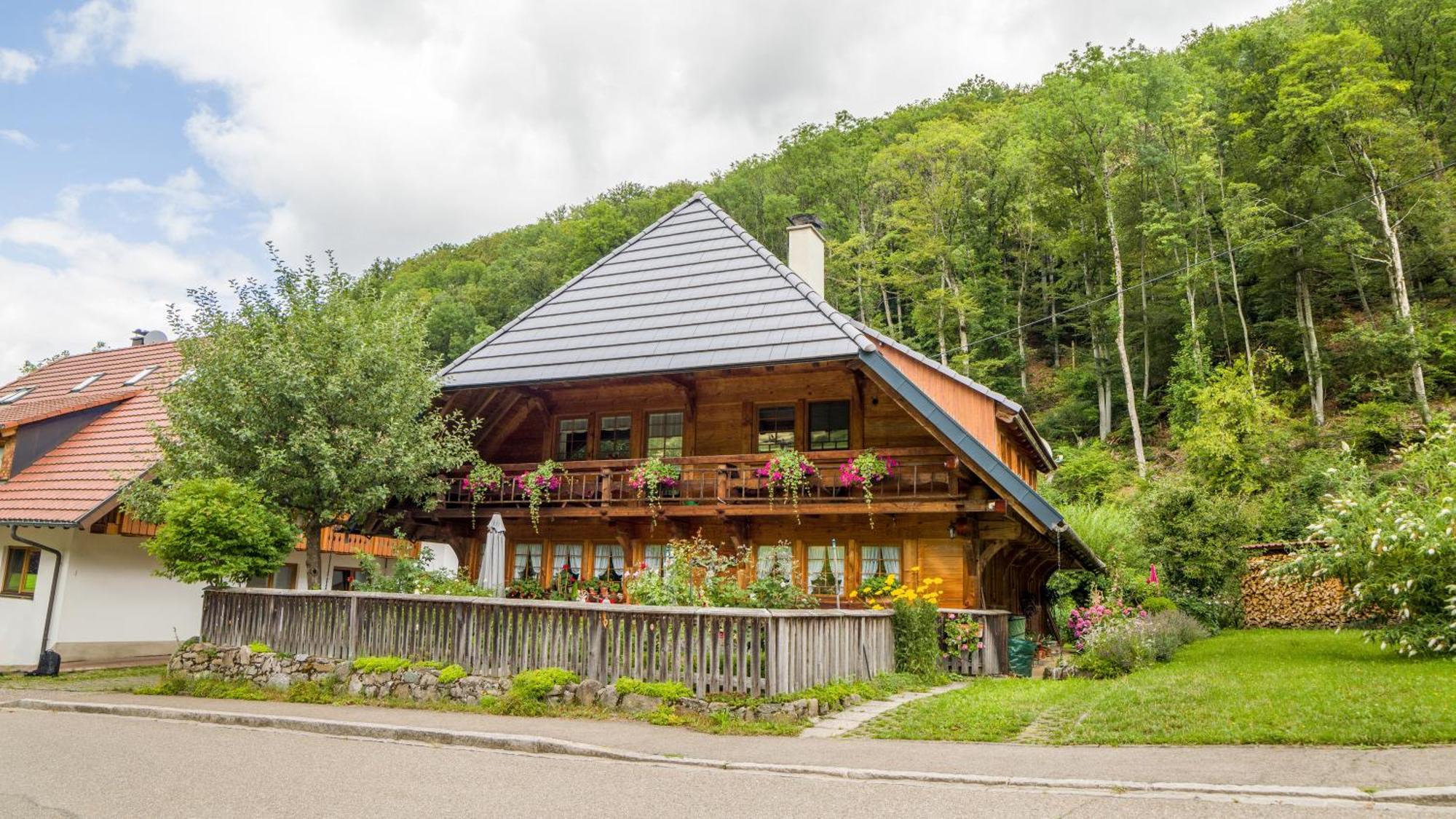דירות Münstertal Haus Miriam מראה חיצוני תמונה