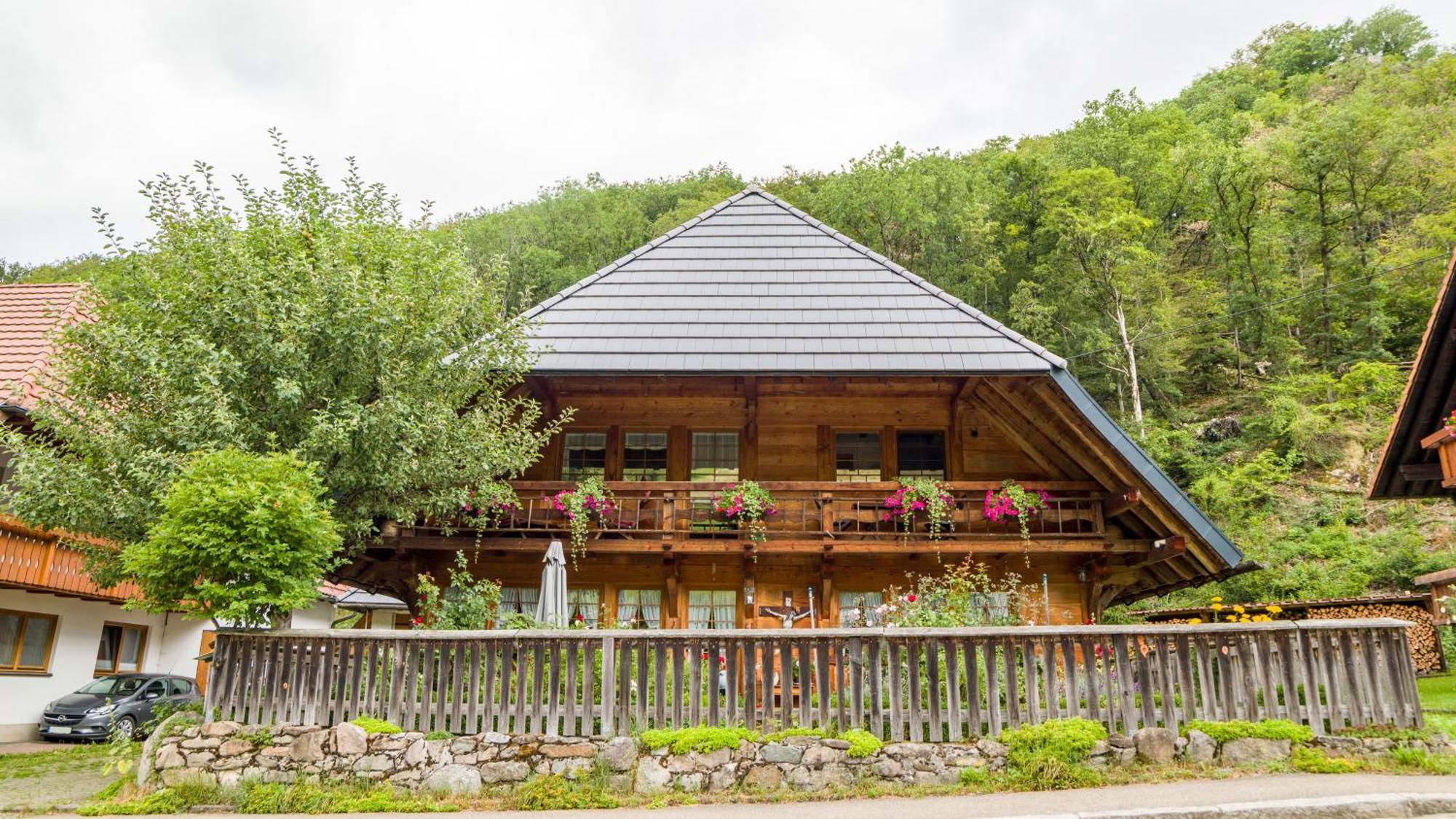 דירות Münstertal Haus Miriam מראה חיצוני תמונה